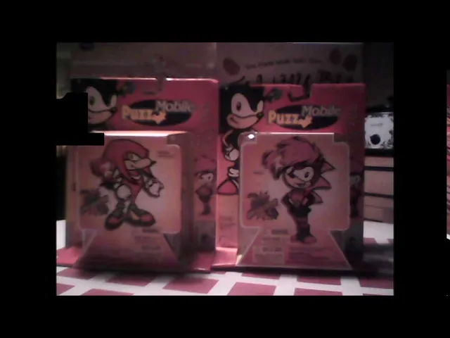 Sonia the Hedgehog & Knuckles the Echidna Puzzle Reviews